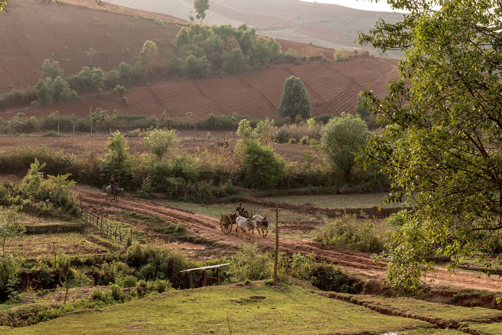 Myanmar_11